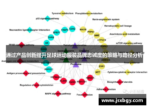 通过产品创新提升足球运动服装品牌忠诚度的策略与路径分析