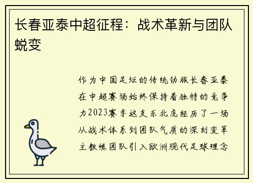 长春亚泰中超征程：战术革新与团队蜕变
